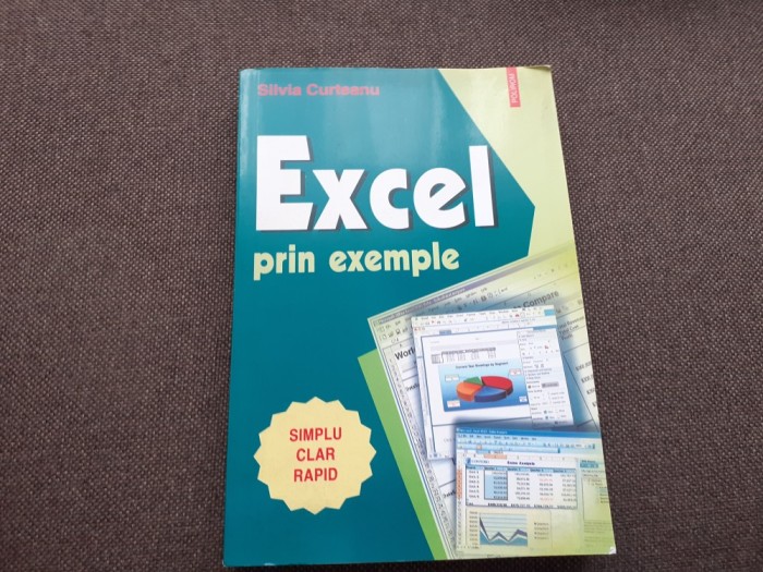 Silvia Curteanu - Excel prin exemple