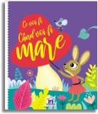 Cumpara ieftin Ce Voi Fi Cand Voi Fi Mare, Caroline Virginie, Lucile Ahrweiller - Editura DPH