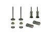 Set supape otel evacuare Yamaha YZF 450 03- 09, WR 450 F 03- 15, YFZ 450 03- 09, YFZ 450 R X 09- 20, Gas Gas EC 450 F 13- 15