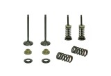 Set supape otel evacuare Yamaha YZF 450 03- 09, WR 450 F 03- 15, YFZ 450 03- 09, YFZ 450 R X 09- 20, Gas Gas EC 450 F 13- 15