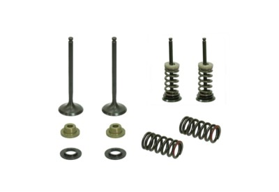 Set supape otel evacuare Yamaha YZF 450 03- 09, WR 450 F 03- 15, YFZ 450 03- 09, YFZ 450 R X 09- 20, Gas Gas EC 450 F 13- 15 foto