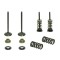 Set supape otel evacuare Yamaha YZF 450 03- 09, WR 450 F 03- 15, YFZ 450 03- 09, YFZ 450 R X 09- 20, Gas Gas EC 450 F 13- 15