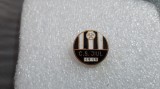Insigna Jiul