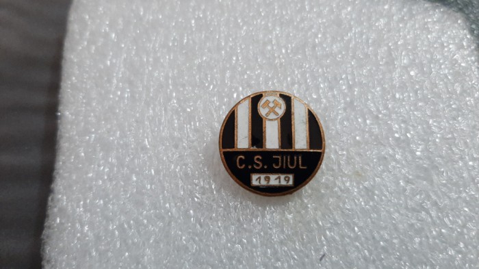 Insigna Jiul