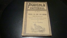 R. I. Calinescu - Vanatul cu pene din Romania . Cheie dichotomica - 1944