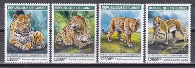 Guineea 2019 - Pantere, MNH foto