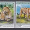 Guineea 2019 - Pantere, MNH