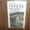 Alexandru Vlad -Frigul Verii