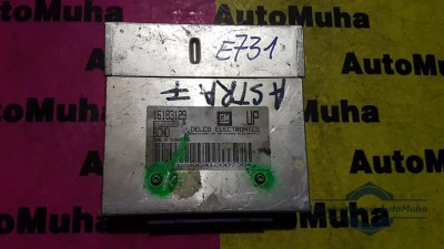 Calculator ecu Opel Astra F (1991-1998) 16183129 foto