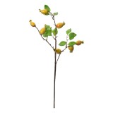 Crenguta fructe padure galbene verzi 10x8x50 cm
