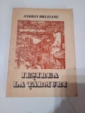 IESIREA LA TARMURI ~ ANDREI BREZIANU