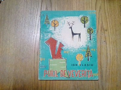 PUIU DE VEVERITA - Ion Vlasiu - POPOVICI CONSTANTIN (ilustratii) -1964, 48 p. foto