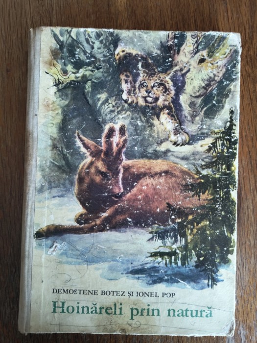 Hoinareli in natura - Ionel Pop, Coca Cretoiu desene, 2 / R4P1F