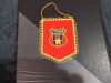 Fanion Steaua