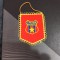 fanion Steaua