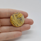 Cabochon mookait breciat 30x30x5mm c75