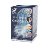 Fresh Water Kollagen 8gr*20stickuri