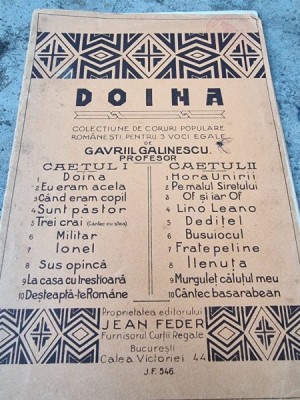 Gavrii Galinescu - Doina foto