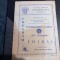 program U Craiova - Jiul