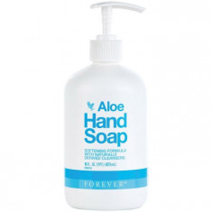 Forever Aloe Hand Soap foto