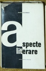 Matei Calinescu - Aspecte literare foto