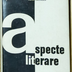 Matei Calinescu - Aspecte literare