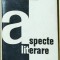 Matei Calinescu - Aspecte literare