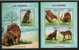 COASTA DE FILDES 2014 FAUNA ANIMALE SALBATICE LEOPARZI