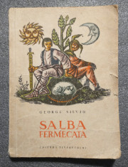 George Silviu - Salba fermecata (ilustratii: Val Munteanu) foto