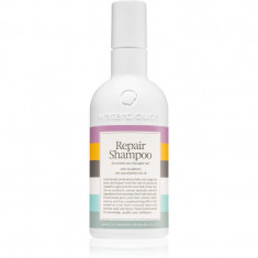 Waterclouds Repair Shampoo șampon de îngrijire delicată 250 ml