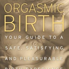 Orgasmic Birth: Your Guide to a Safe, Satisfying, and Pleasurable Birth Experience