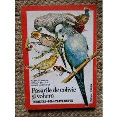 PASARILE DE COLIVIE SI VOLIERA - Vadim Nesterov, St. Benescu - 1996, 175 p.