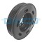 DAYCO DPV1109 Fulie curea, arbore cotit