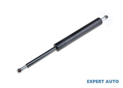 Telescop hayon Honda Accord 7 (2002-2012)[CL,CN,CM] #1 foto