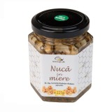 Nuca in miere by Dr. Ing. Cornelia Dostetan Abalaru apicultor - 225g