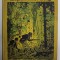 EINE ROBINSONADE von SIGISMUND RUSTIG , NACH MARRYAT FUR DIE JUGEND ...EDITIE INTERBELICA , TEXT IN LIMBA GERMANA CU CARACTERE GOTICE