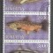 Buriatia 1997 Fishes, strip, used T.138