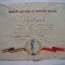 Diploma Consiliul National al Femeilor din RPR 1960/1961