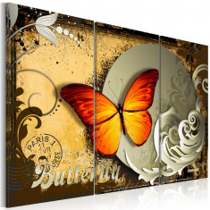 Tablou canvas 3 piese - Zborul unui fluture - 90 x 60 cm foto