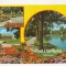 SG4 - Carte Postala - Germania, Bad Durrheim, Salinensee, Circulata 1983
