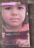 Sandro Veronesi-Haos calm