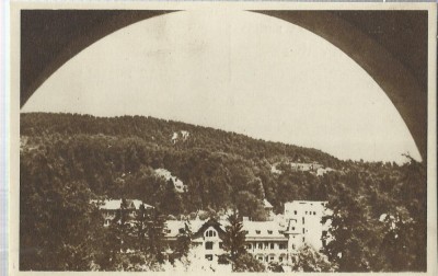 AMS# - VEDERE - GOVORA - VEDERE RPR SEPIA NECIRCULATA foto