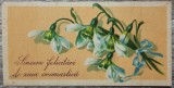 Felicitare interbelica