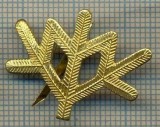 Y 1798 INSIGNA - MILITARA -SEMN DE ARMA -VANATORI DE MUNTE -PENTRU COLECTIONARI