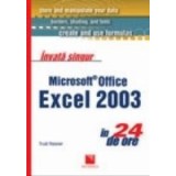 Invata singur Microsoft Office Excel in 24 de ore