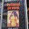 PALTONUL DE VARA , Mircea Horia Simionescu , 1996