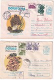 FILATELIE TEMATICA - PLIC ROMANIA TEMATICA FLORA FLORI, Stampilat