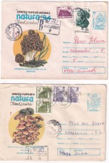 FILATELIE TEMATICA - PLIC ROMANIA TEMATICA FLORA FLORI