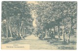 2867 - COVASNA, Park, Romania - old postcard, CENSOR - used - 1916, Circulata, Printata