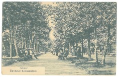 2867 - COVASNA, Park, Romania - old postcard, CENSOR - used - 1916